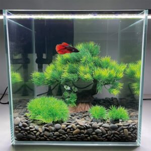 Aquarium Aquarium Decoration Water Plant