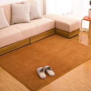 Memory cotton coral velvet carpet Living room bedroom door mats Bathroom kitchen non-slip absorbent carpets